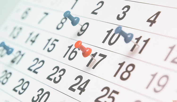 Prefeitura decreta ponto facultativo e serviços têm horário alterado no feriado