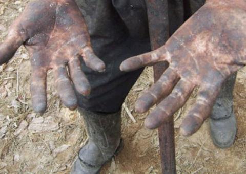 Aprovada cassação de CNPJ de empresas que usam trabalho escravo