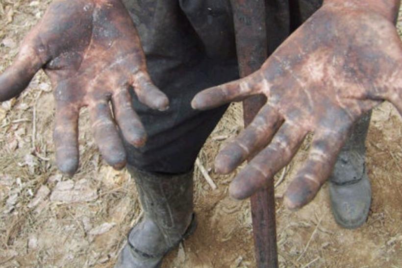 Aprovada cassação de CNPJ de empresas que usam trabalho escravo