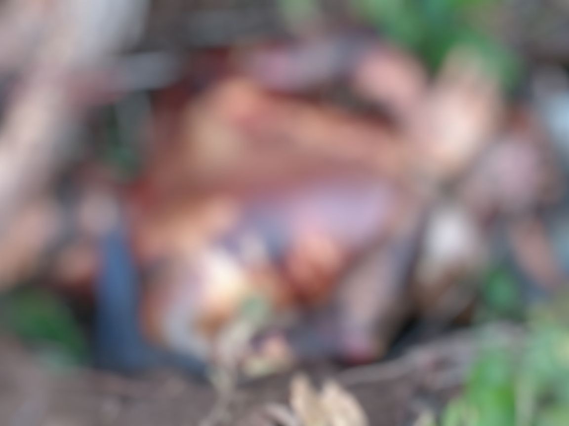 Brincando, crianças encontram corpo de homem com marcas de tortura em Manaus