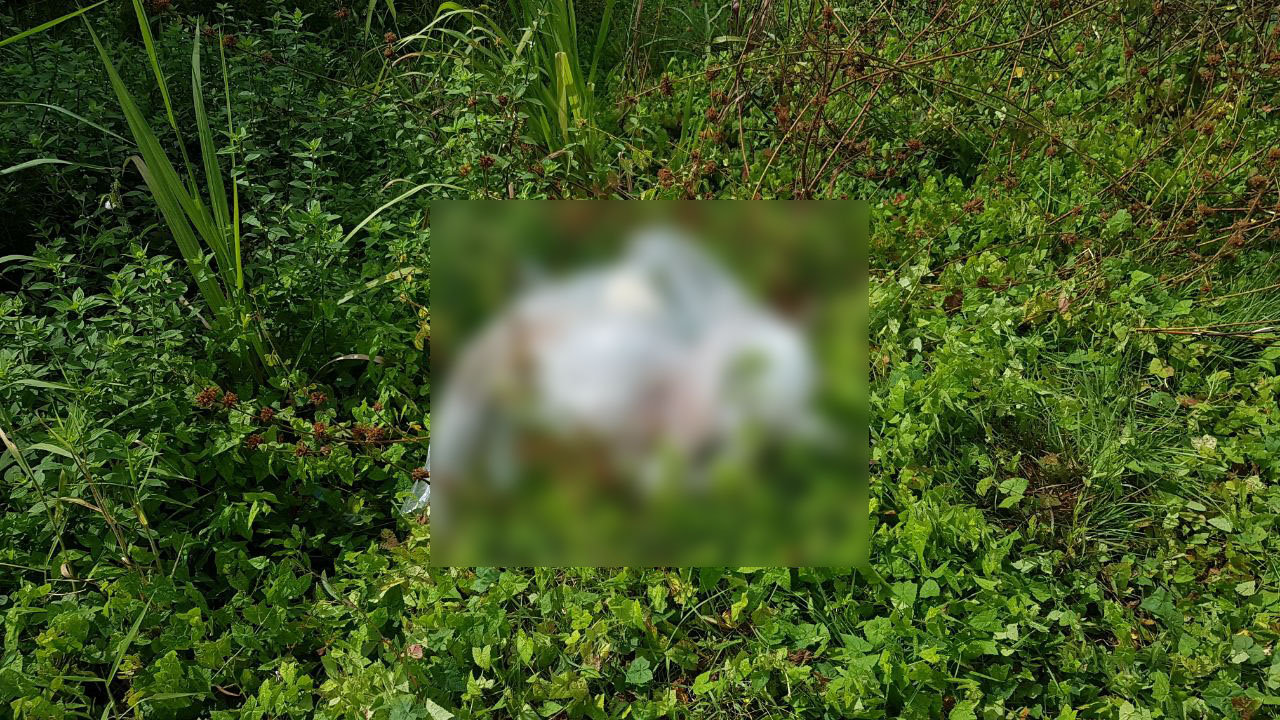 Corpo é encontrado com saco plástico na cabeça em  Manaus