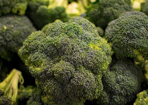 Brócolis em excesso pode causar problema sério de saúde pouquíssimo conhecido