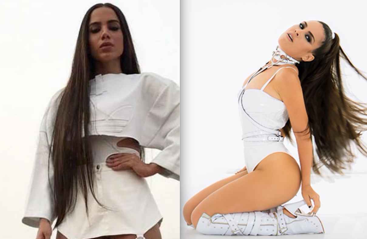   Zezé Di Camargo alfineta Anitta após internauta dizer que Wanessa imita cantora