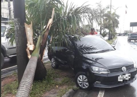 Carro invade canteiro central e se choca contra árvore em avenida de Manaus