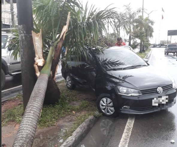 Carro invade canteiro central e se choca contra árvore em avenida de Manaus