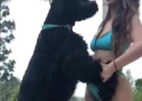 Modelo é acusada de abusar sexualmente de cão em ensaio 