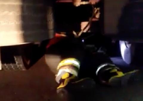 Veja resgate emocionante de papagaio ‘Maracanã’ em Manaus