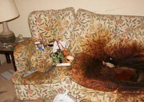 Filha deixa mãe presa em sofá com fezes e sem trocar roupa por 10 anos; Imagem chocante