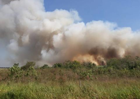 Incêndio destrói 464 hectares de matas em parque brasileiro