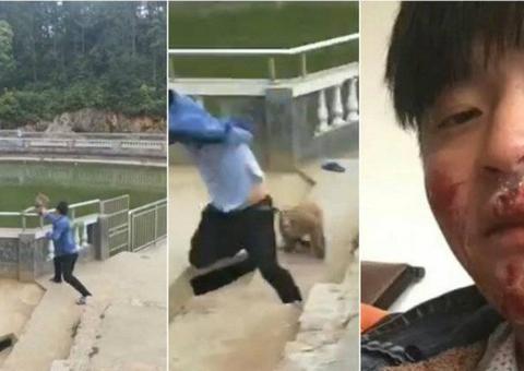 Macaco se vinga de homem após ser empurrado em parque