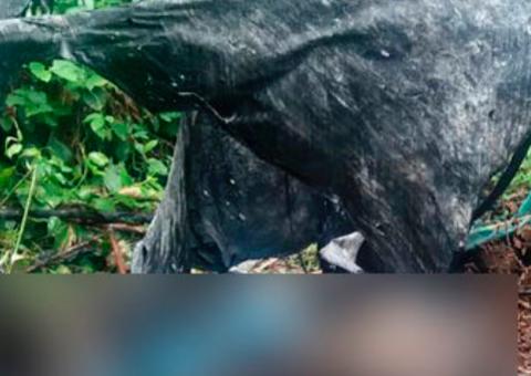 Encontro de corpo carbonizado e homem morto a tiros causam pânico no Amazonas