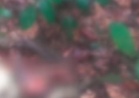 Moradores encontram ossada em matagal próximo a Cidade Universitária