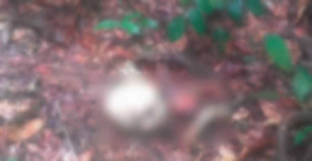 Moradores encontram ossada em matagal próximo a Cidade Universitária