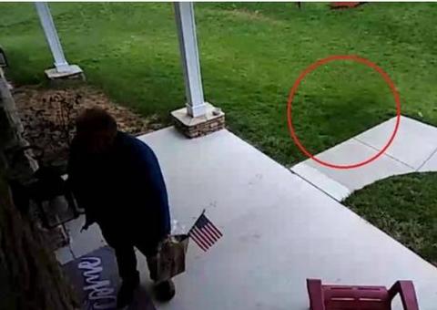 'Cachorro fantasma' surge na câmera e deixa homem assombrado