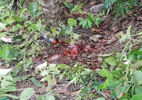 Jovem é morto com seis tiros em Manaus