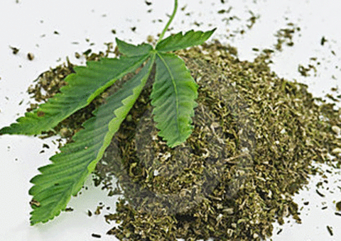 Rede de supermercados anuncia venda de maconha em suas lojas