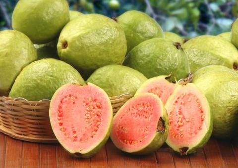  Goiaba previne câncer, aumenta imunidade e emagrece. Saiba mais benefícios