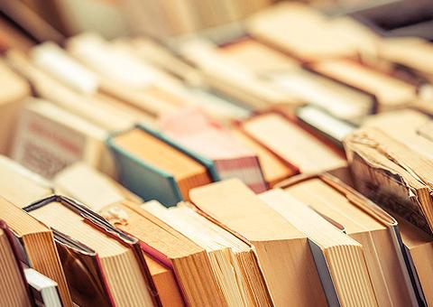 Parque Ponte dos Bilhares realiza a 4ª Feira de Livros neste sábado