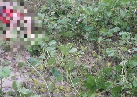 Homem é morto a pedradas e corpo é jogado perto de avenida em Manaus