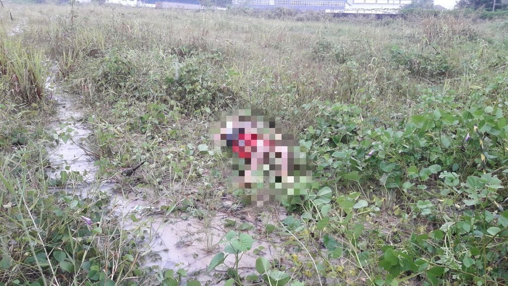 Homem é morto a pedradas e corpo é jogado perto de avenida em Manaus