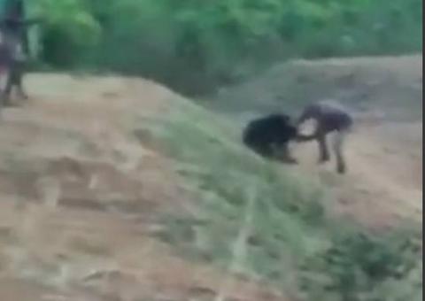 Homem é atacado e morto ao tentar tirar selfie com urso 