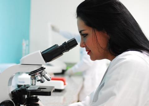 Fapeam vai ofertar mil bolsas de estudo em Programa de Apoio à Iniciação Científica