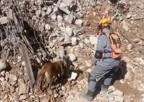 Ossadas encontradas sob escombros de prédio em São Paulo são de crianças