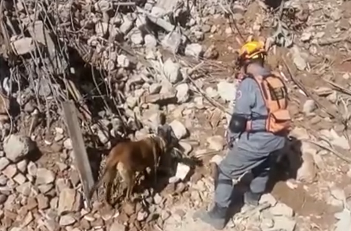 Ossadas encontradas sob escombros de prédio em São Paulo são de crianças