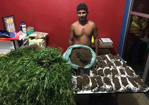 Homem é preso acusado de cultivar 800 pés de maconha no Amazonas