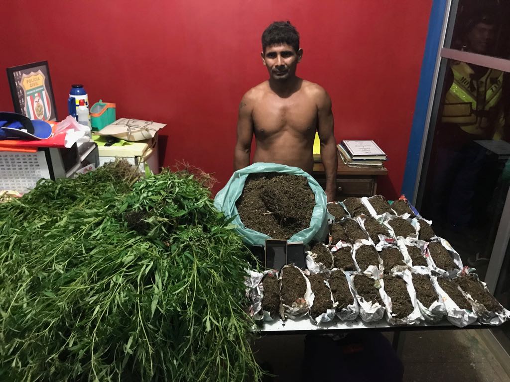 Homem é preso acusado de cultivar 800 pés de maconha no Amazonas