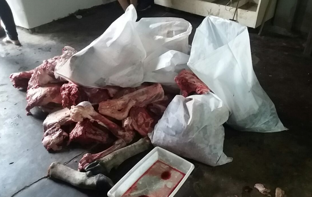 Grupo é preso suspeito de furtar gados para revender carne no Amazonas