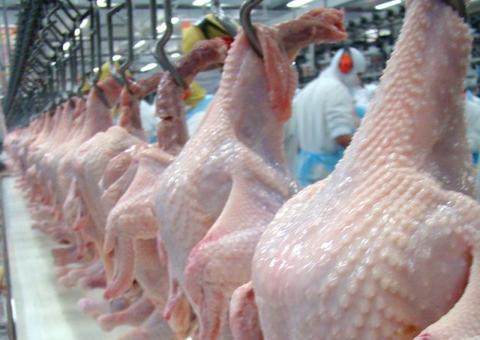 UE proíbe importação de 20 frigoríficos brasileiros a partir de amanhã