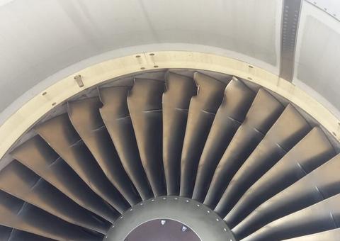  Ave atinge turbina de avião com 120 passageiros durante voo