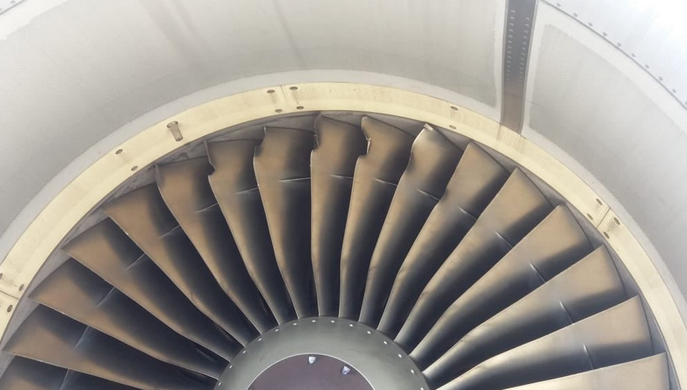  Ave atinge turbina de avião com 120 passageiros durante voo