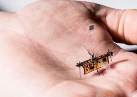 Novo robô-inseto consegue voar e é alimentado por laser