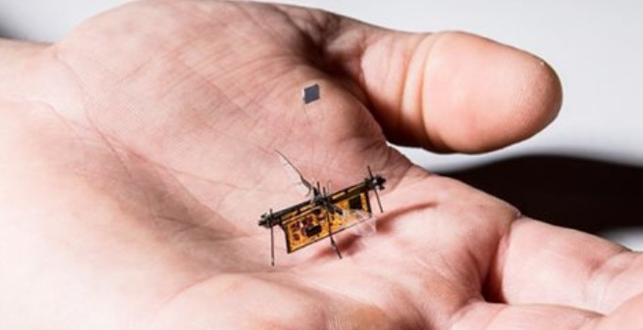 Novo robô-inseto consegue voar e é alimentado por laser