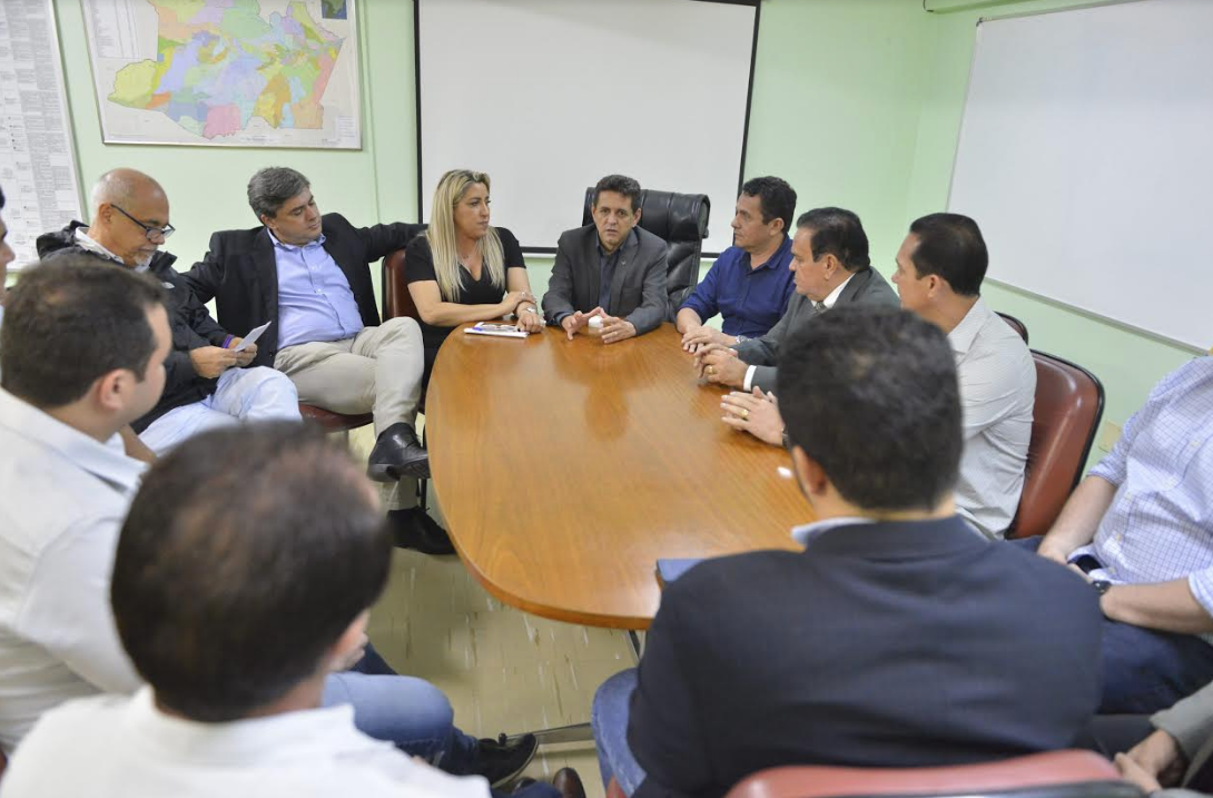 Ministério do Meio Ambiente anuncia operação para preservação do sauim-de-coleira no Amazonas