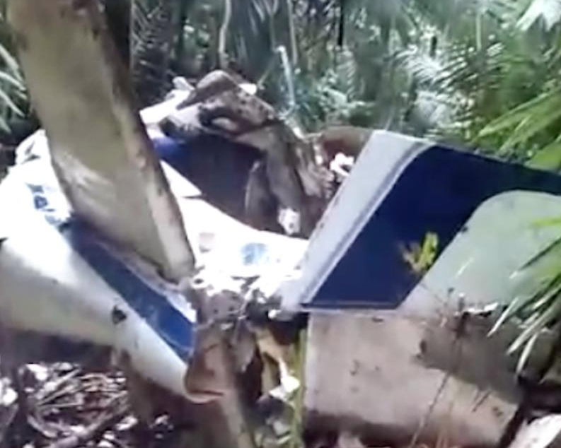 Vídeo mostra populares encontrando destroços de avião desaparecido no Amazonas