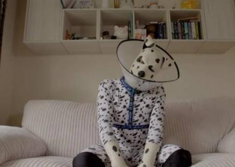 Homem se veste de cachorro e decide virar dálmata