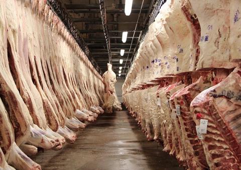 MPF pede ao Ibama que fiscalize abate de animais em 47 frigoríficos na Amazônia