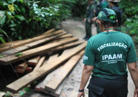 Ipaam apreende carga de madeira ilegal e aplica multa de R$ 21 mil no Amazonas