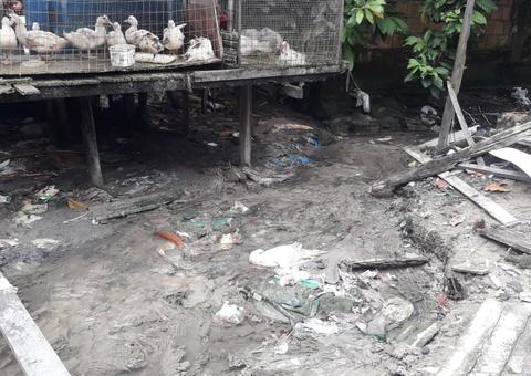 Abraçado a pato, criança de 4 anos é encontrada morta em Manaus