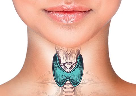 Dia Internacional da Tireoide alerta para problemas que comprometem o metabolismo