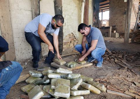 Polícia incinera 59 quilos de maconha no Amazonas
