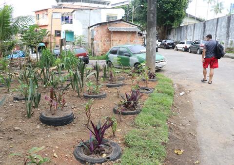 Lixeiras viciadas se transformam em jardins em bairros de Manaus 