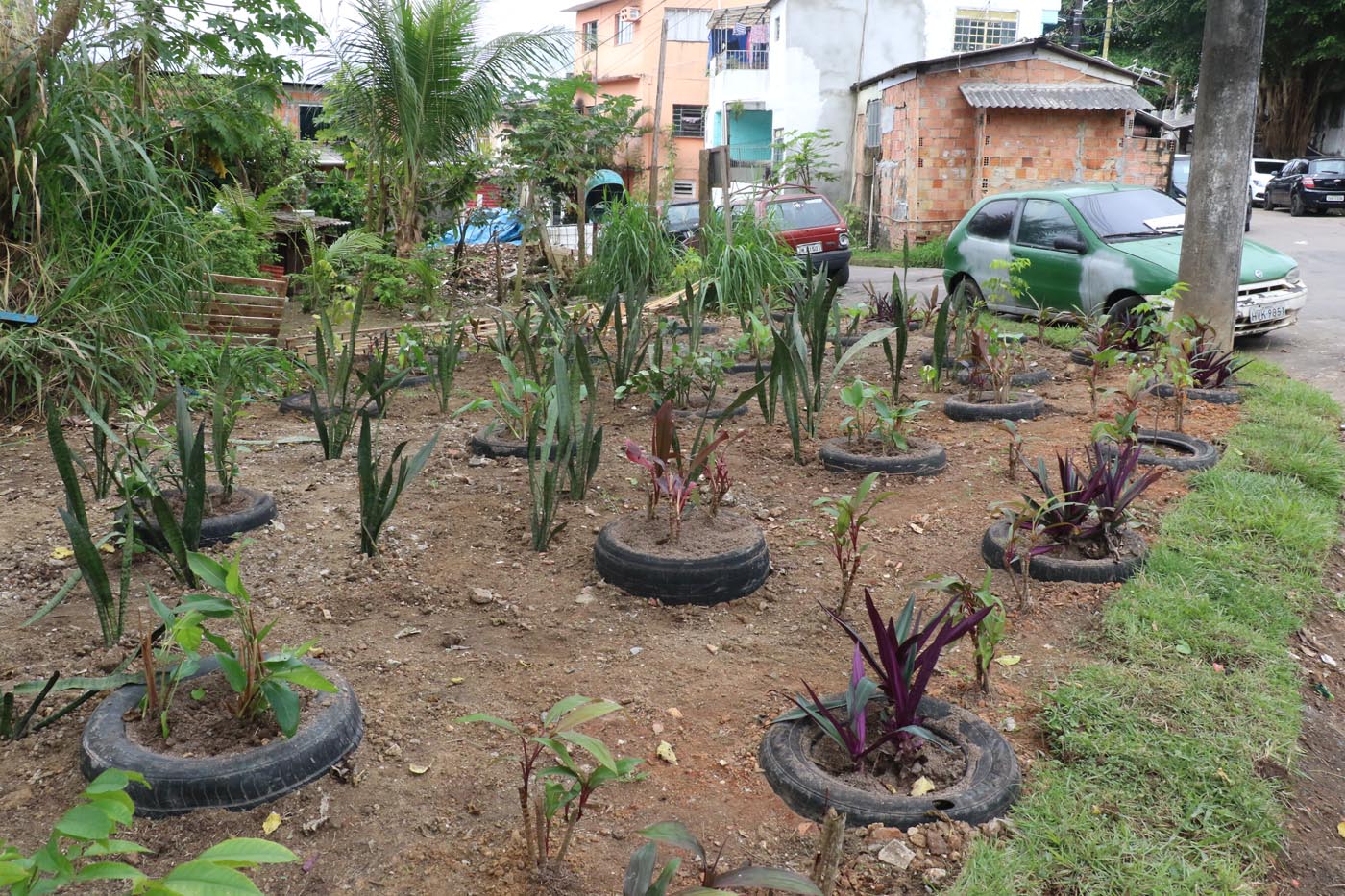 Lixeiras viciadas se transformam em jardins em bairros de Manaus 