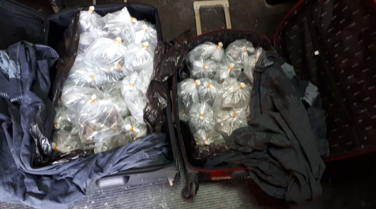 Polícia Federal apreende mais de 200 alevinos em lanchas no Amazonas 