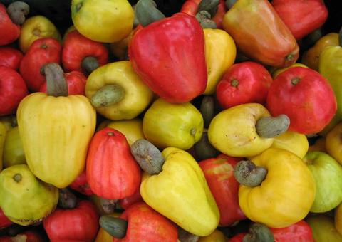 Castanha de caju faz bem para os olhos e cabelos. Saiba mais