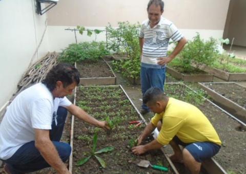 Presos do Amazonas aprendem a cultivar hortaliças