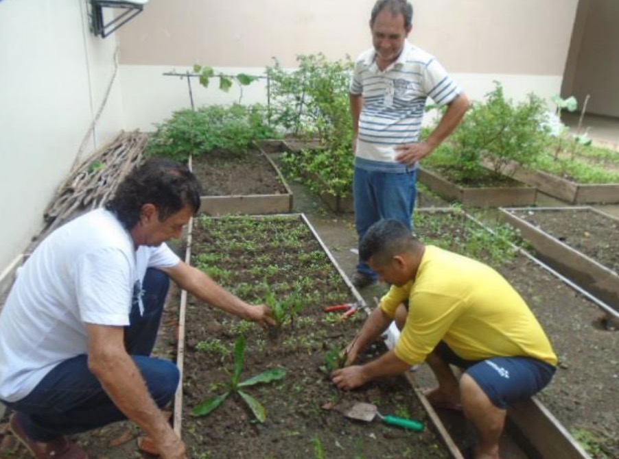 Presos do Amazonas aprendem a cultivar hortaliças
